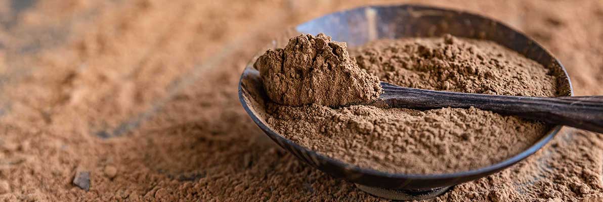 Protein Powder for Weight Loss