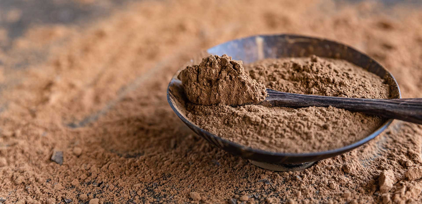 How much protein can your body absorb at once?
