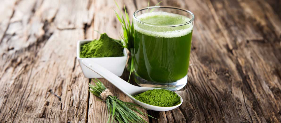 Wheatgrass 101: Health Benefits, Uses, and Types