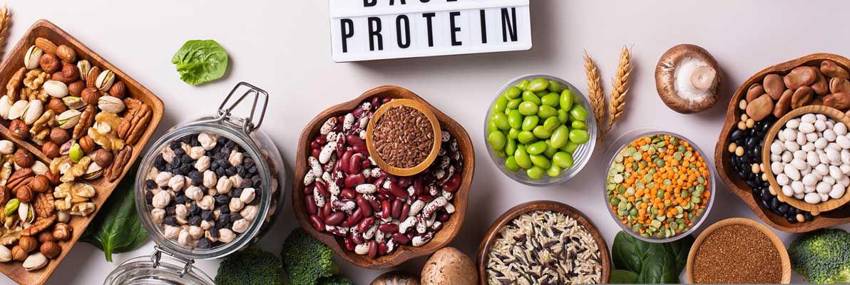 Best Sources of Plant Protein